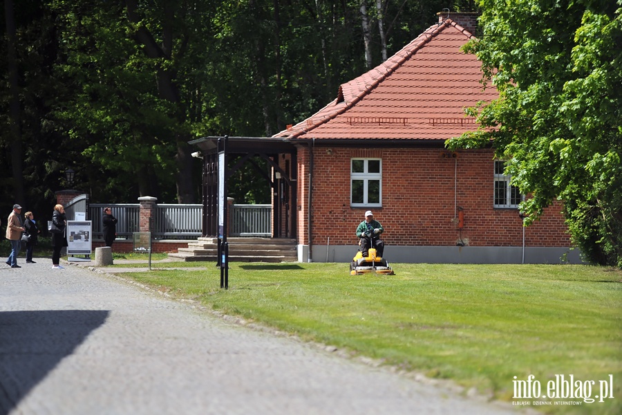 Rewitalizacja szklarni na terenie Stutthof, fot. 1