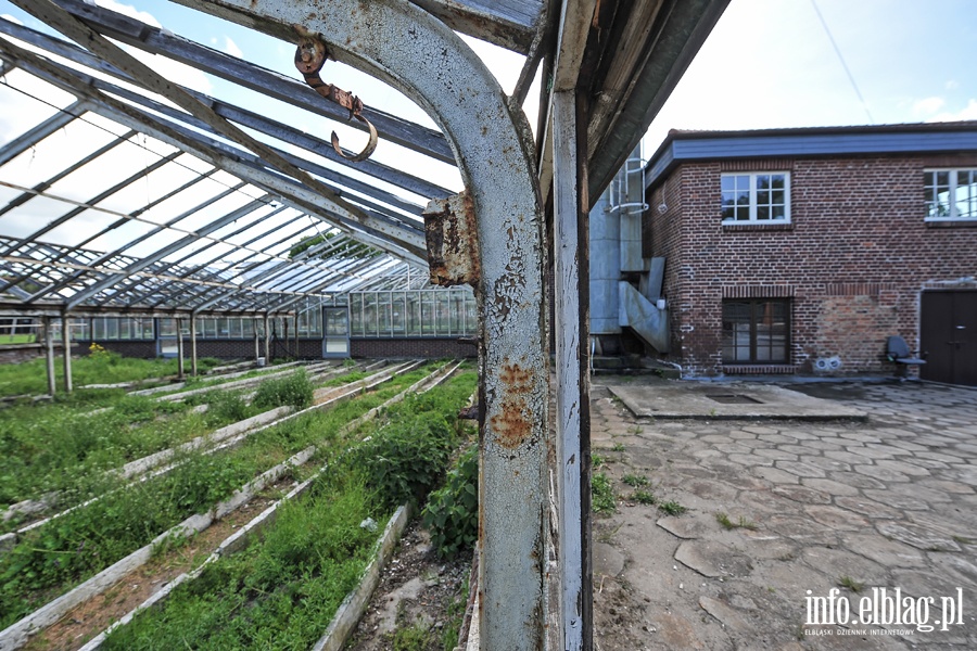 Rewitalizacja szklarni na terenie Stutthof, fot. 8