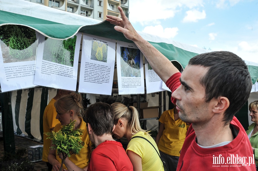 Elbląskie Dni Recyklingu, fot. 5