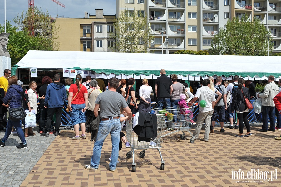 Elblskie Dni Recyklingu, fot. 29