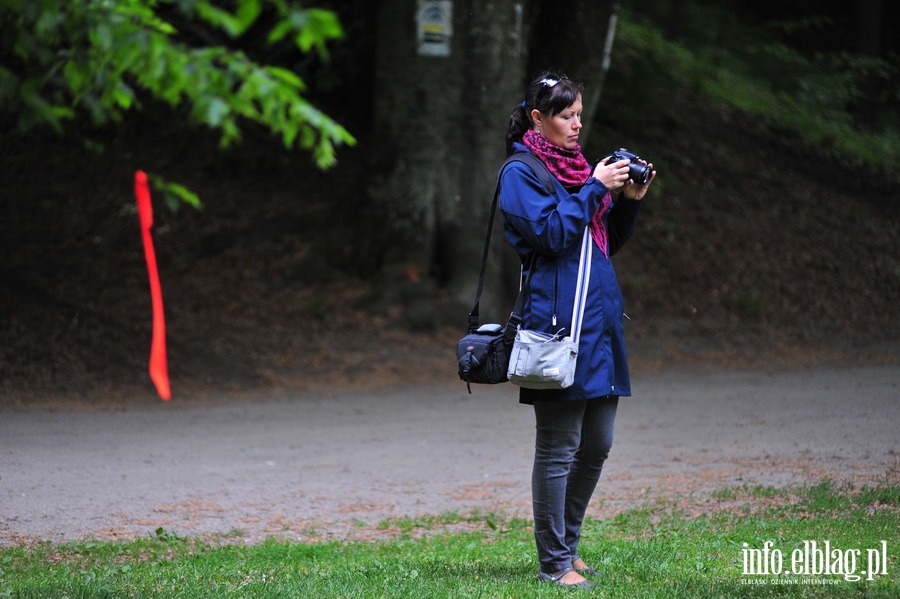 I Integracyjny Bieg Terenowy "Baantarnia 2015", fot. 58