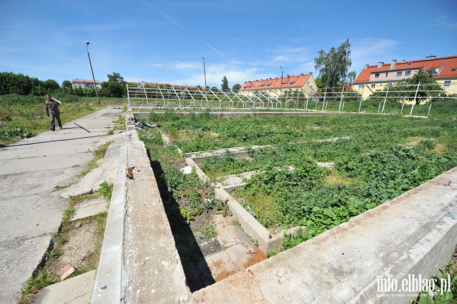 Likwidacja gospodarstwa ogrodniczego przy Sadowej, fot. 11