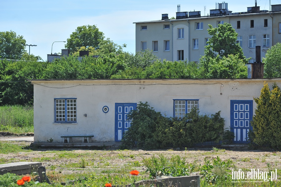 Likwidacja gospodarstwa ogrodniczego przy Sadowej, fot. 17