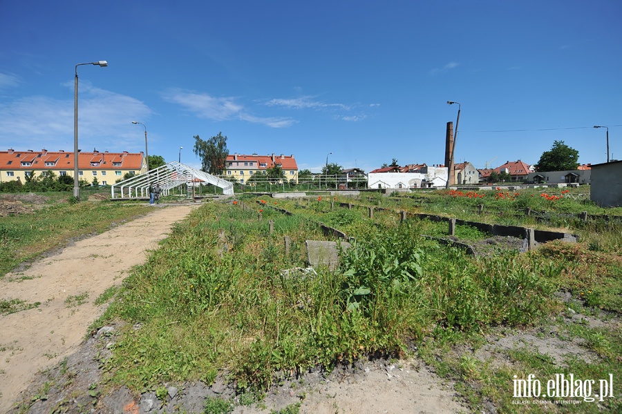 Likwidacja gospodarstwa ogrodniczego przy Sadowej, fot. 18