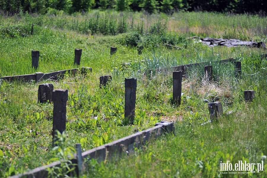 Likwidacja gospodarstwa ogrodniczego przy Sadowej, fot. 23