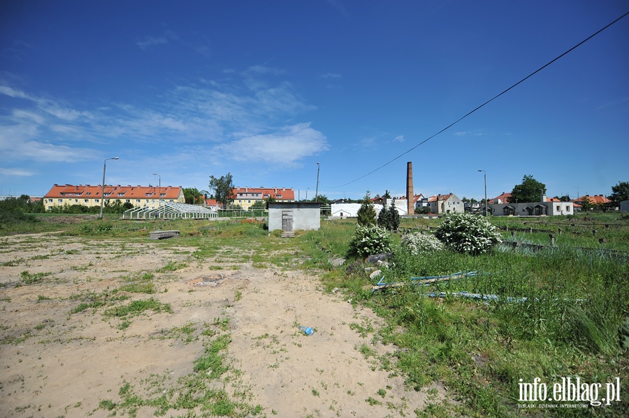 Likwidacja gospodarstwa ogrodniczego przy Sadowej, fot. 24