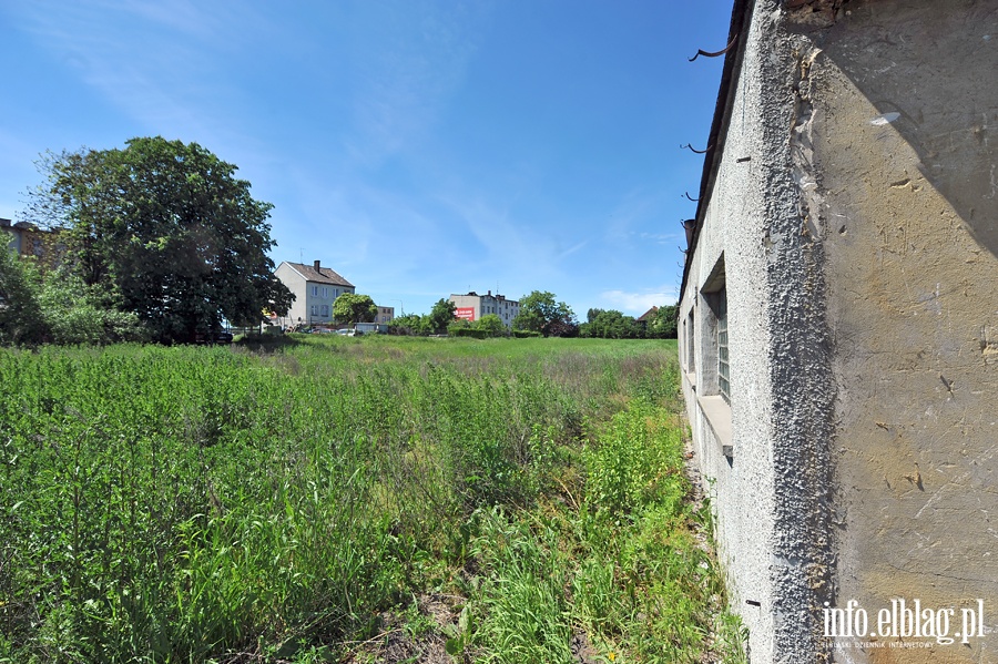 Likwidacja gospodarstwa ogrodniczego przy Sadowej, fot. 25