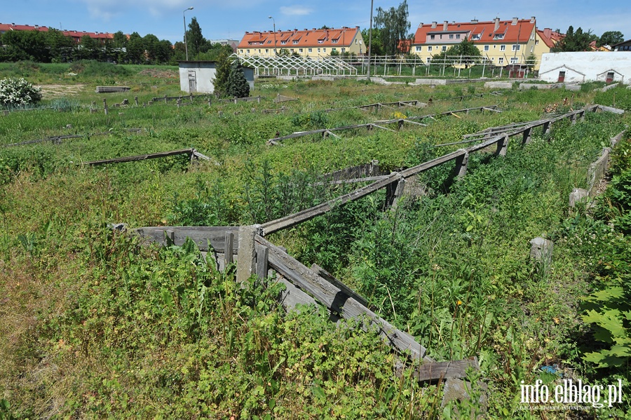 Likwidacja gospodarstwa ogrodniczego przy Sadowej, fot. 26