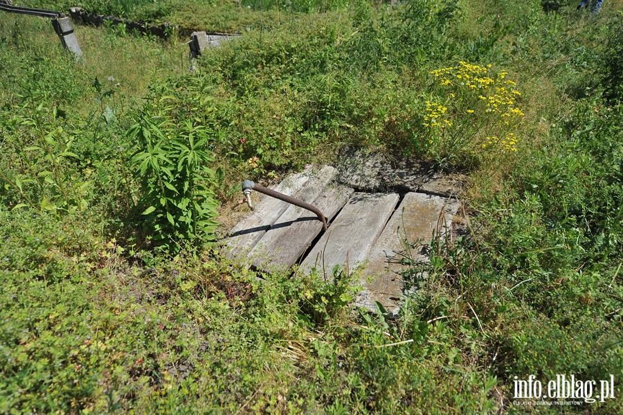Likwidacja gospodarstwa ogrodniczego przy Sadowej, fot. 27