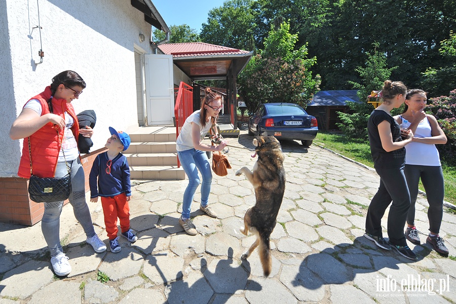 Bieg na sześć łap z OTOZ Animals., fot. 12