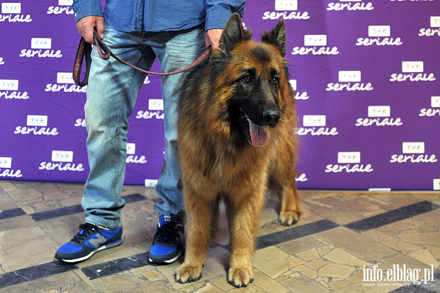 Festiwal Polskich Seriali Telewizyjnych, fot. 8