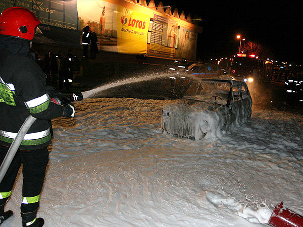 Pokaz ratowniczy z okazji XV Finau Wielkiej Orkiestry , fot. 20