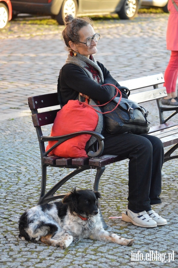 Publiczno podczas koncertu na Placu Katedralnym, fot. 41