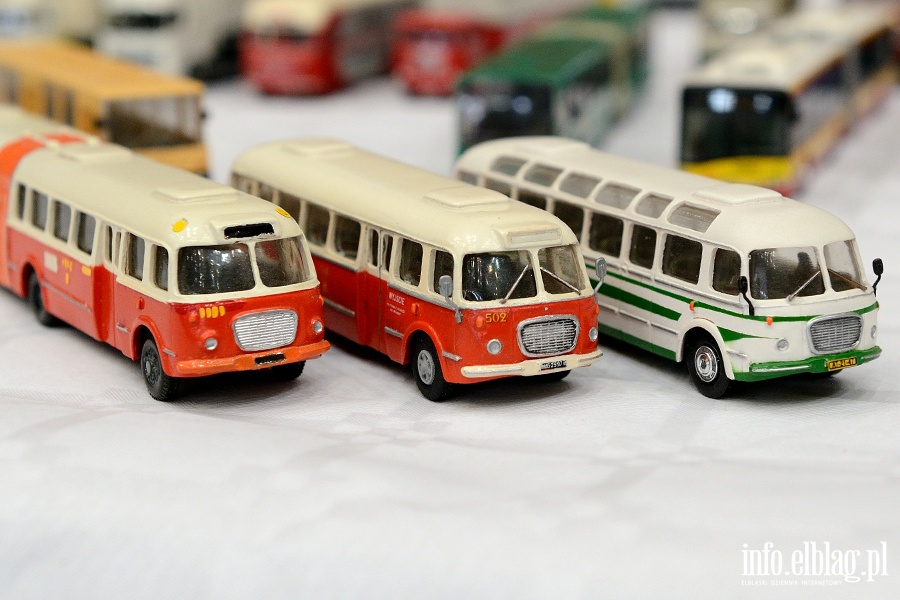 Elblążanie odwiedzili Ogólnopolską Wystawę Modeli w Iławie, fot. 15