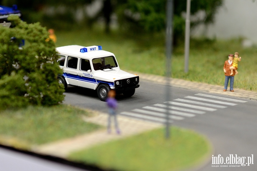 Elblanie odwiedzili Oglnopolsk Wystaw Modeli w Iawie, fot. 20