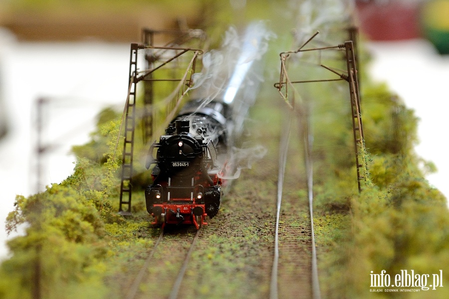 Elblanie odwiedzili Oglnopolsk Wystaw Modeli w Iawie, fot. 51