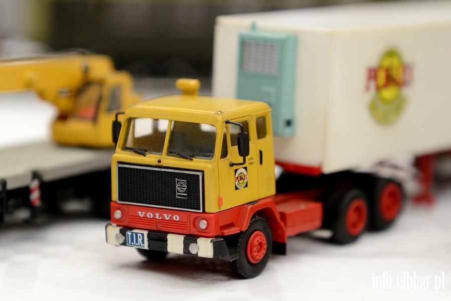 Elblanie odwiedzili Oglnopolsk Wystaw Modeli w Iawie, fot. 86
