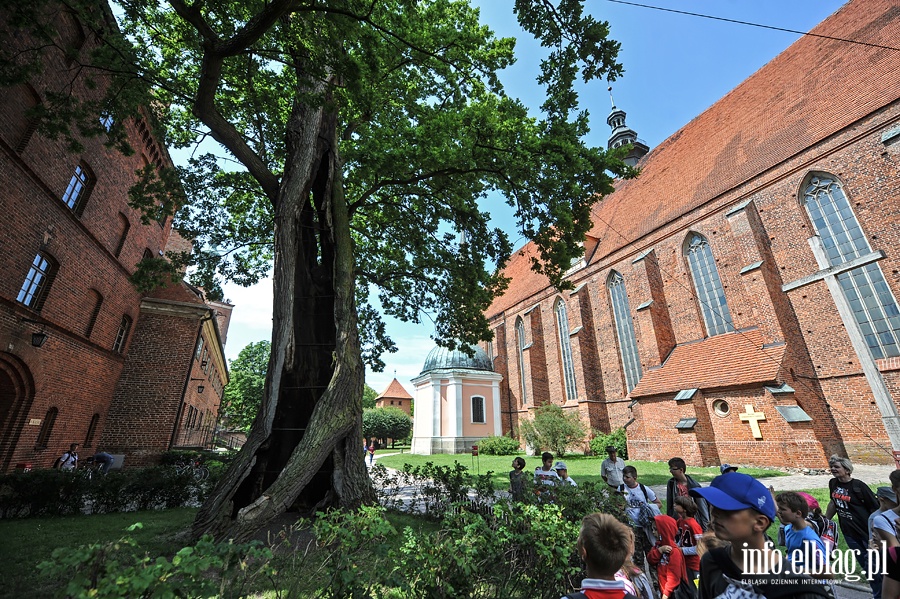 Wakacje z PTTK dla najmodszych, fot. 98