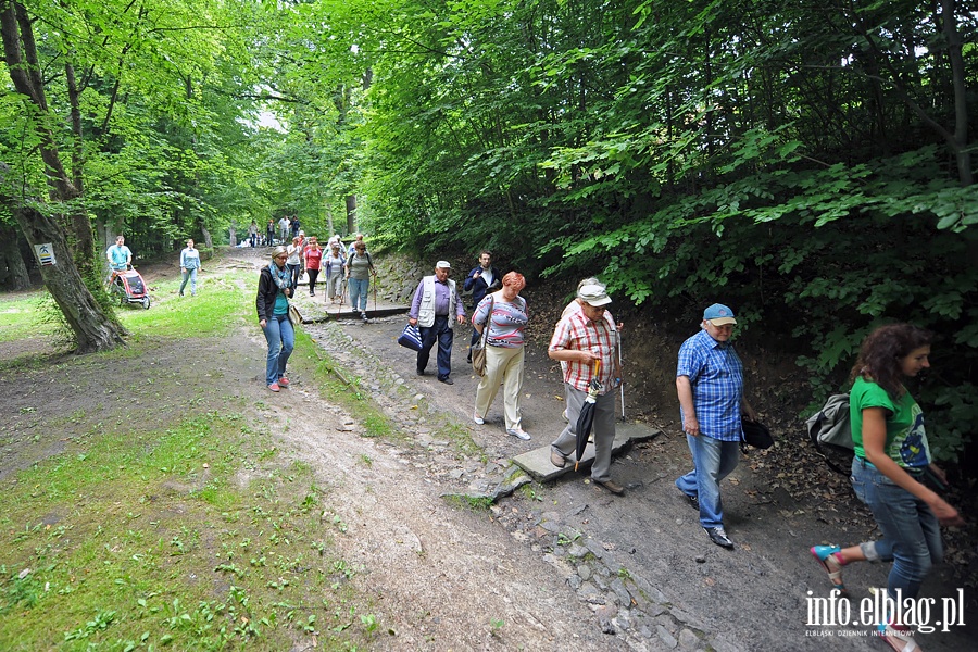 Sobota z przewodnikiem w Bażantarni, fot. 24