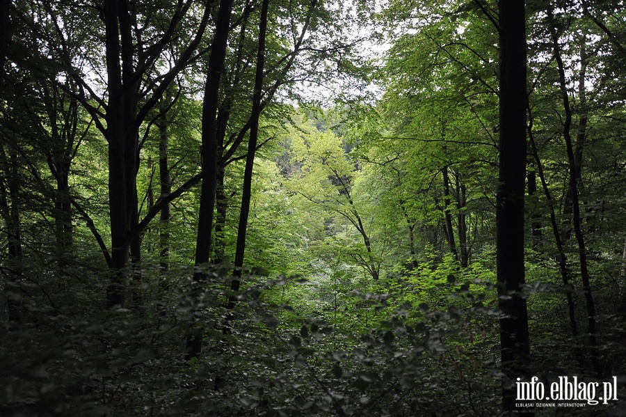 Sobota z przewodnikiem w Baantarni, fot. 33