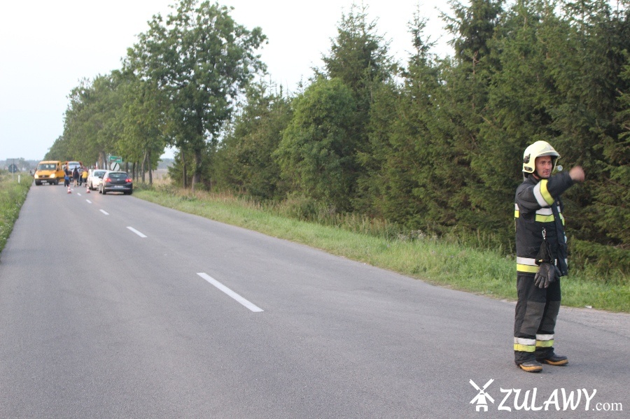 Wypadek na drodze do Stegny, fot. 11