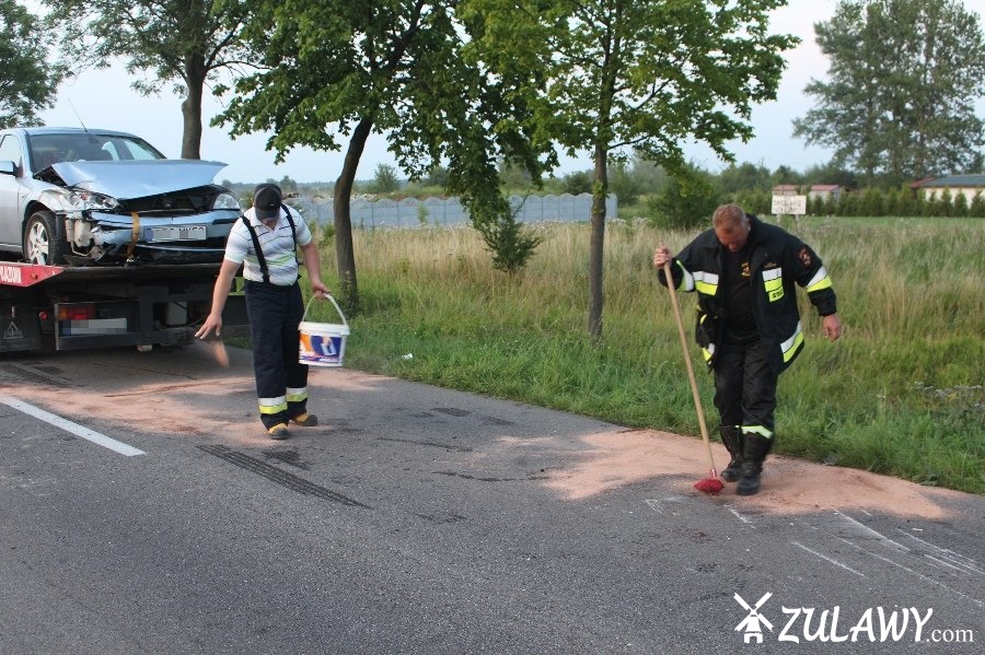 Wypadek na drodze do Stegny, fot. 12