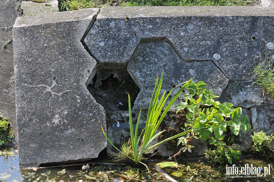 Jaki los czeka budynek elblskiej Stray Granicznej?, fot. 22