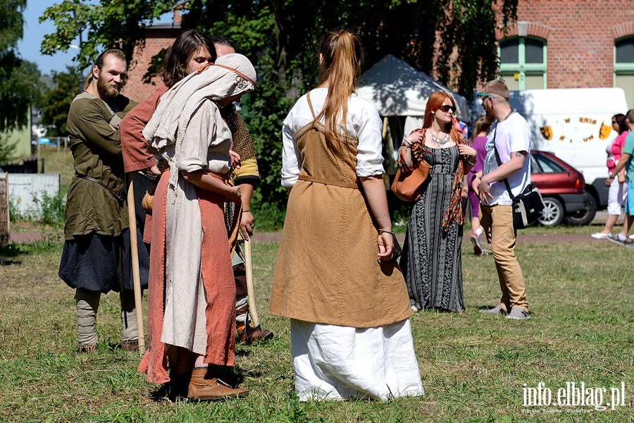 Na Wyspie Spichrzów stanęła osada Wikingów z Truso, fot. 29