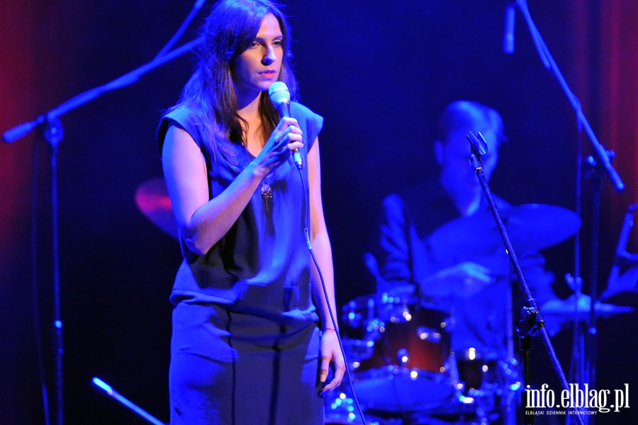 Elbląskie Noce 2015 - koncert NAJLEPSI Z NAJLEPSZYCH, fot. 3