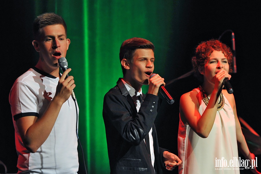 Elbląskie Noce 2015 - koncert NAJLEPSI Z NAJLEPSZYCH, fot. 40