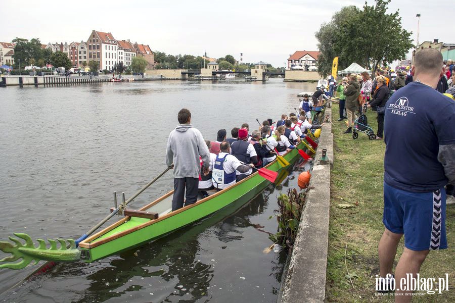 II edycja Wycigu Smoczych odzi na rz. Elblg, fot. 4