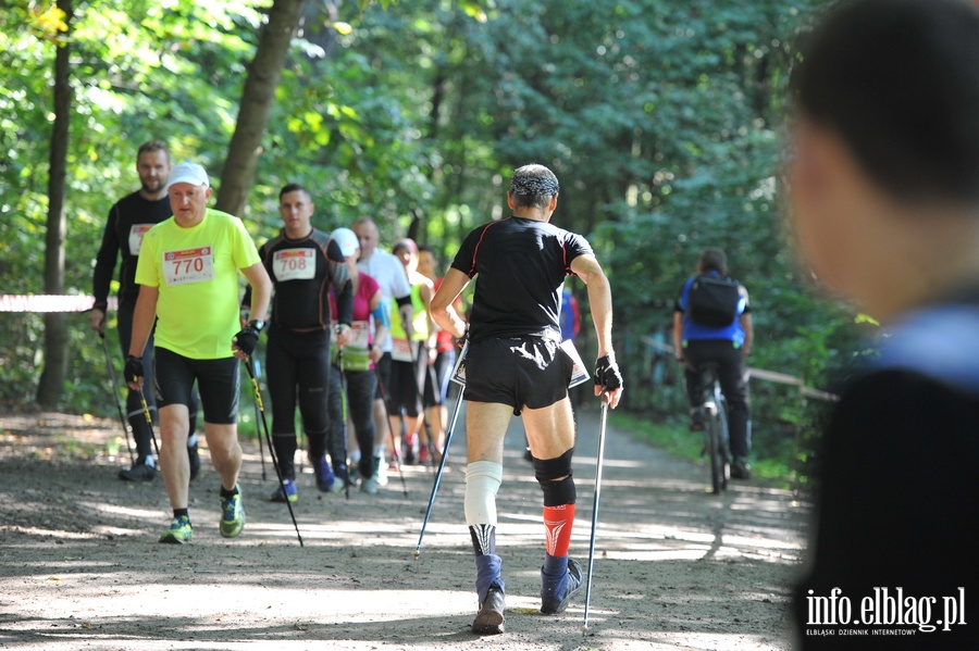 Puchar Europy w Nordic Walking odbył się w Bażantarni, fot. 31