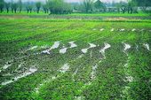 Galerie zdj�� elbl�g i okolic