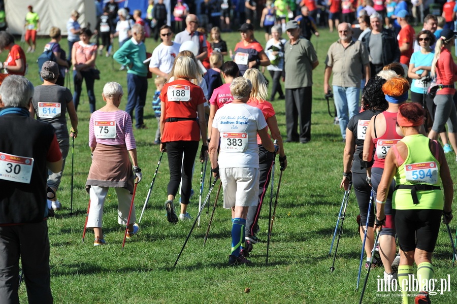 Puchar Europy w Nordic Walking odby si w Baantarni, fot. 73