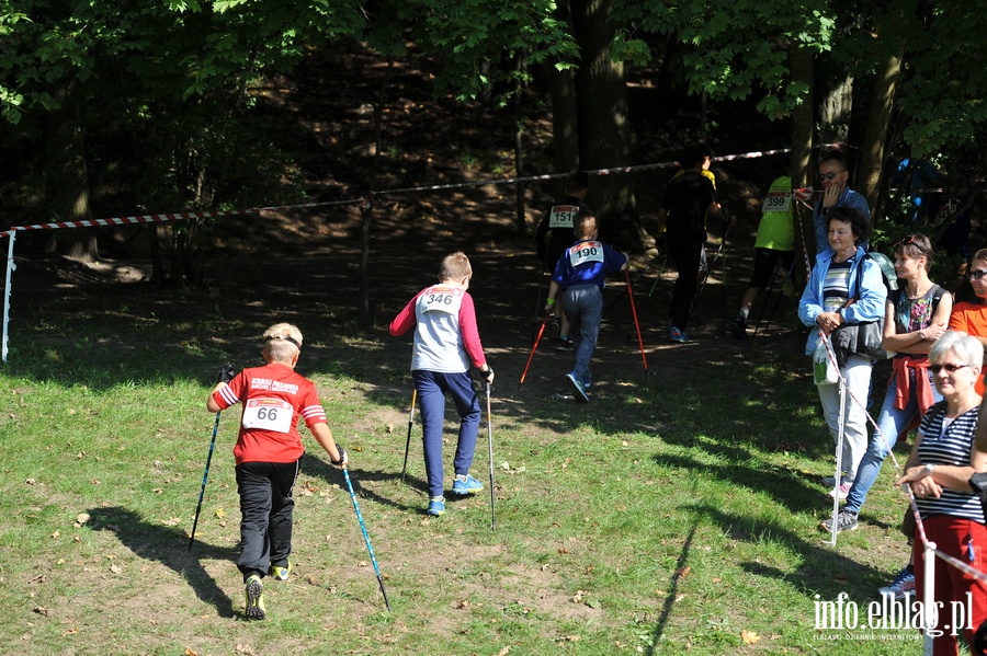 Puchar Europy w Nordic Walking odby si w Baantarni, fot. 150