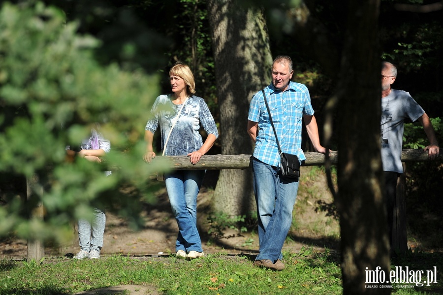 Puchar Europy w Nordic Walking odbył się w Bażantarni, fot. 163