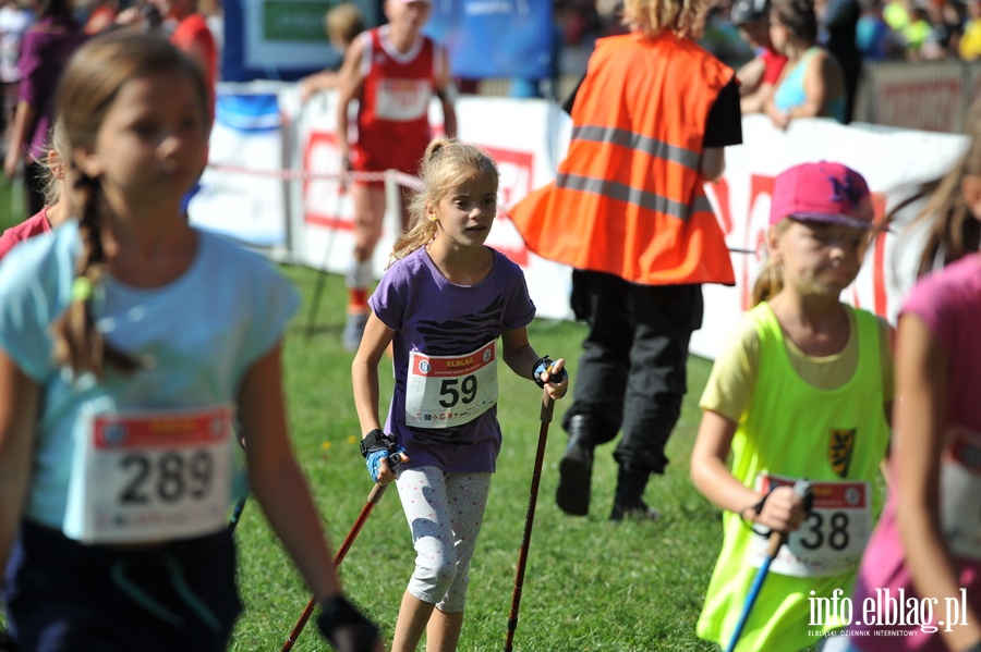 Puchar Europy w Nordic Walking odby si w Baantarni, fot. 196