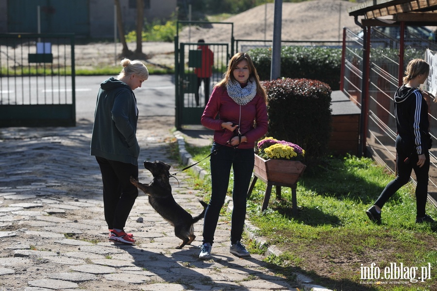 Pierwsze urodziny biegu na sześć łap , fot. 35