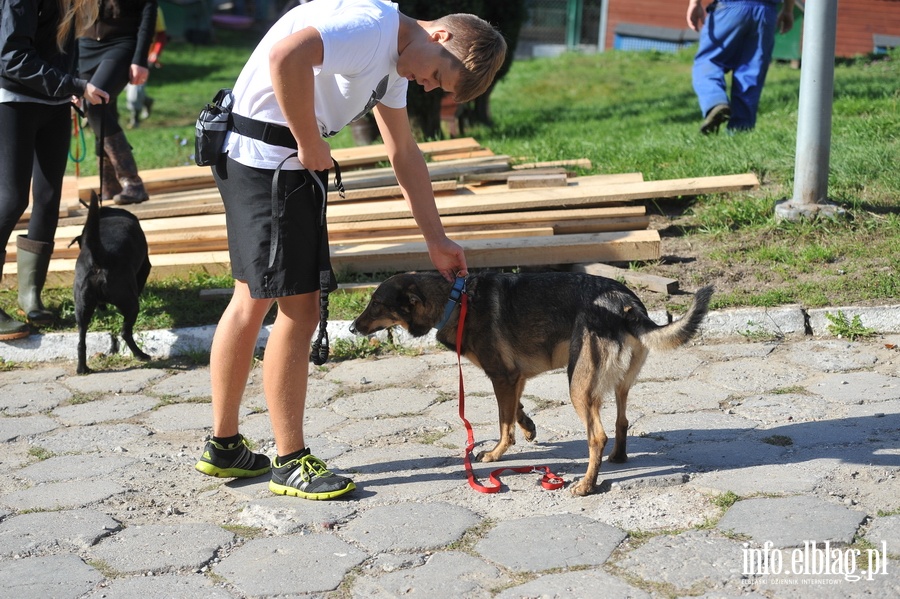 Pierwsze urodziny biegu na sze ap , fot. 39
