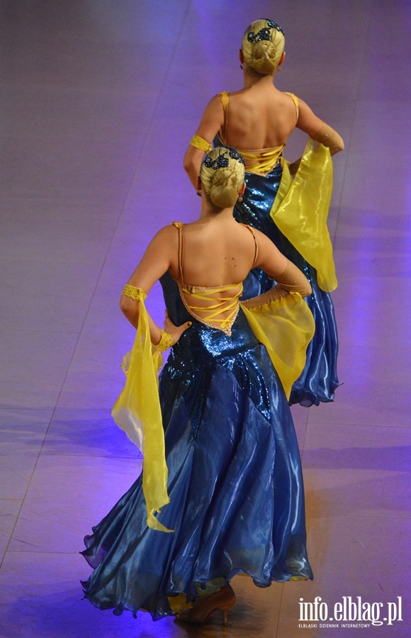 Mistrzostwa Europy Formacji Standardowych 2015, fot. 16
