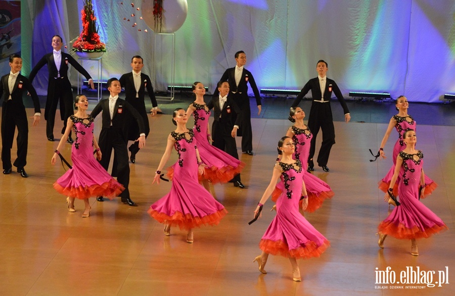 Mistrzostwa Europy Formacji Standardowych 2015, fot. 49
