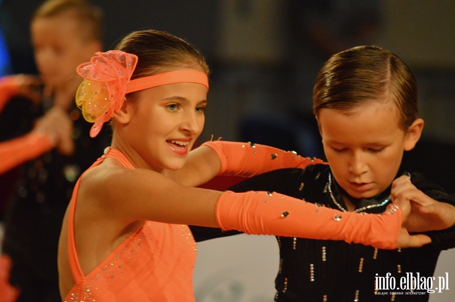 Mistrzostwa Europy Formacji Standardowych 2015, fot. 99