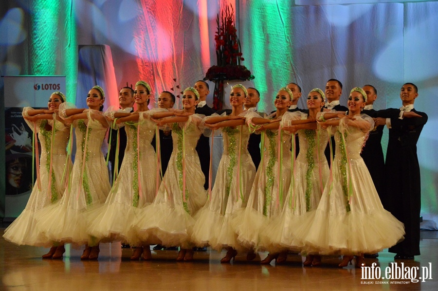 Mistrzostwa Europy Formacji Standardowych 2015, fot. 129