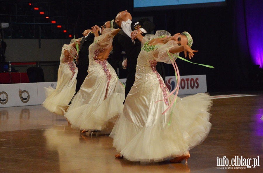 Mistrzostwa Europy Formacji Standardowych 2015, fot. 132