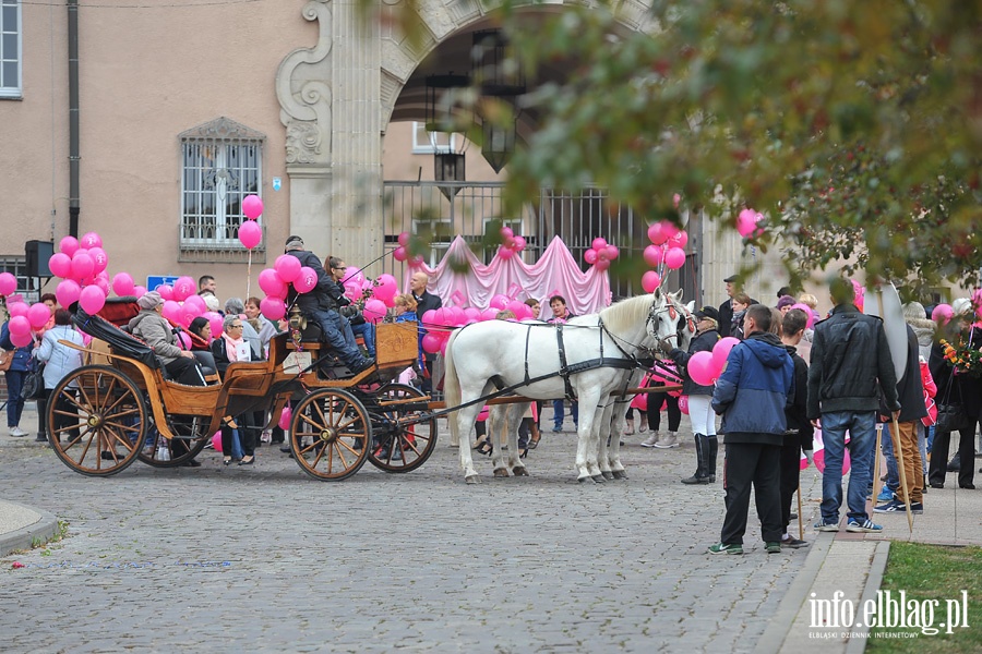 Marsz Zdrowia elbląskich Amazonek, fot. 1