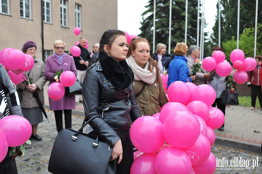 Marsz Zdrowia elbląskich Amazonek, fot. 13