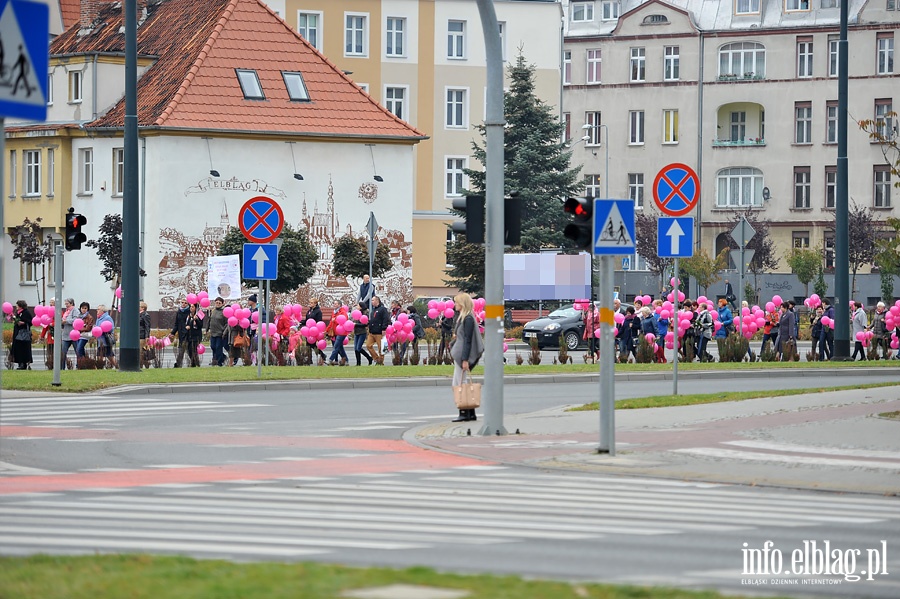 Marsz Zdrowia elbląskich Amazonek, fot. 49