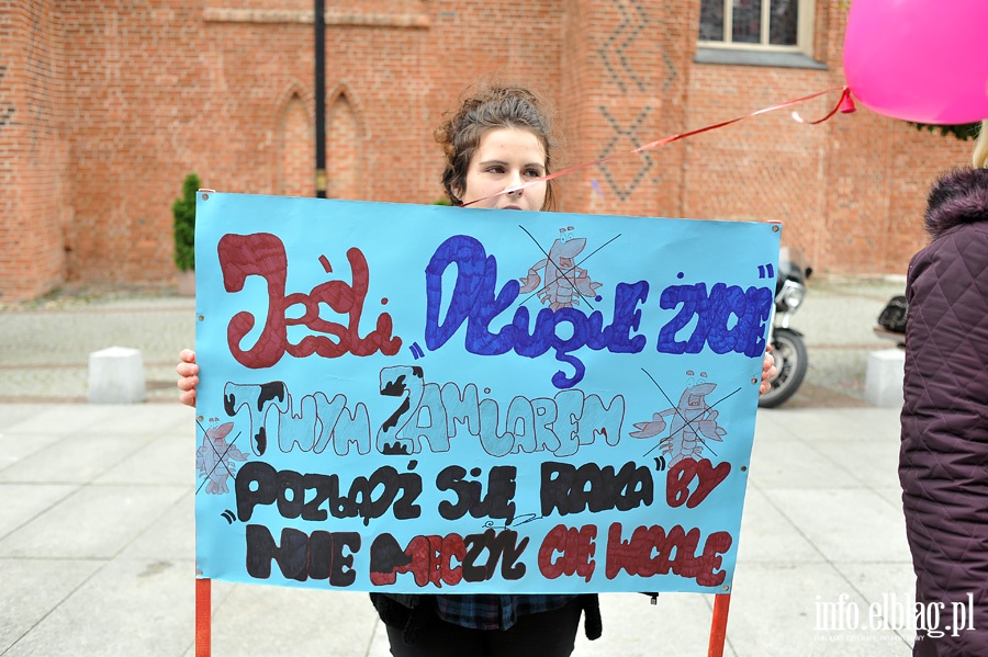 Marsz Zdrowia elblskich Amazonek, fot. 81