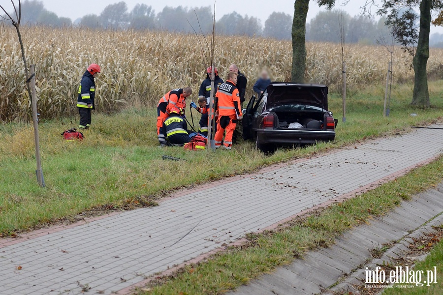 Wypadek w Kazimierzowie. Ranny kierowca przewieziony do szpitala po uderzeniu autem w drzewo, fot. 1