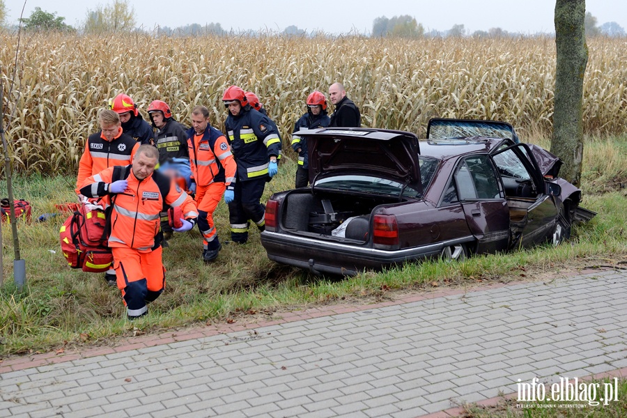 Wypadek w Kazimierzowie. Ranny kierowca przewieziony do szpitala po uderzeniu autem w drzewo, fot. 4